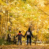 adult and child walking in forest with yellow leaves on the floor and on trees