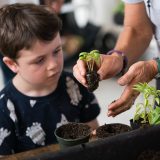 A boy learning how to pot up plants.