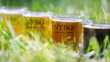 Photo of beer in mugs