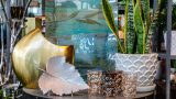 Photo of NYBG Shop display