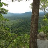 Back of man sitting looking out at view of Parque Estadual Guajara forest in the Amazon