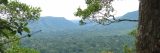 View of Parque Estadual Guajara forest in Amazon