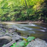 Photo of the Bronx River