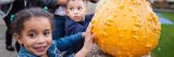 Photo of a child pushing a pumpkin off a ledge