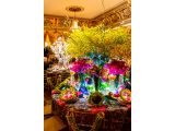 Photo of a luxurious orchid tablescape