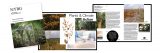 Image of various covers and insides of the NYBG Garden News
