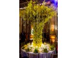 Photo of a luxurious orchid tablescape