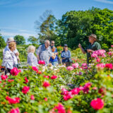 Stephen Scanniello giving a tour to a group of people in the Rose Garden