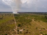 image of smoke on a field in Jacundá National Forest, Rondônia, Brazil