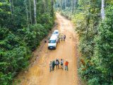 Image of NYBG–University of Rondônia collecting team in Jacundá National Forest