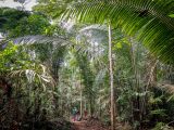 people wearing a teal shirt and a man wearing a white shirt very far away inJacundá National Forest, Rondônia, Brazil