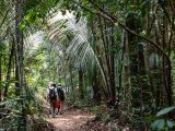 Image of the back of people with back packs walking in Jacundá National Forest, Rondônia, Brazil