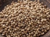 Photo of coriander seeds