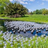 Hundreds of reflective metallic silver orbs float in a tiered reflecting pool. A mix of grassy meadow and evergreen trees can be seen in the background.