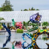 Colorful, polka-dotted sculptures of tulips curl up from the surface of a pool of dark water, with a glass-covered portion of the Haupt Conservatory visible in the background.