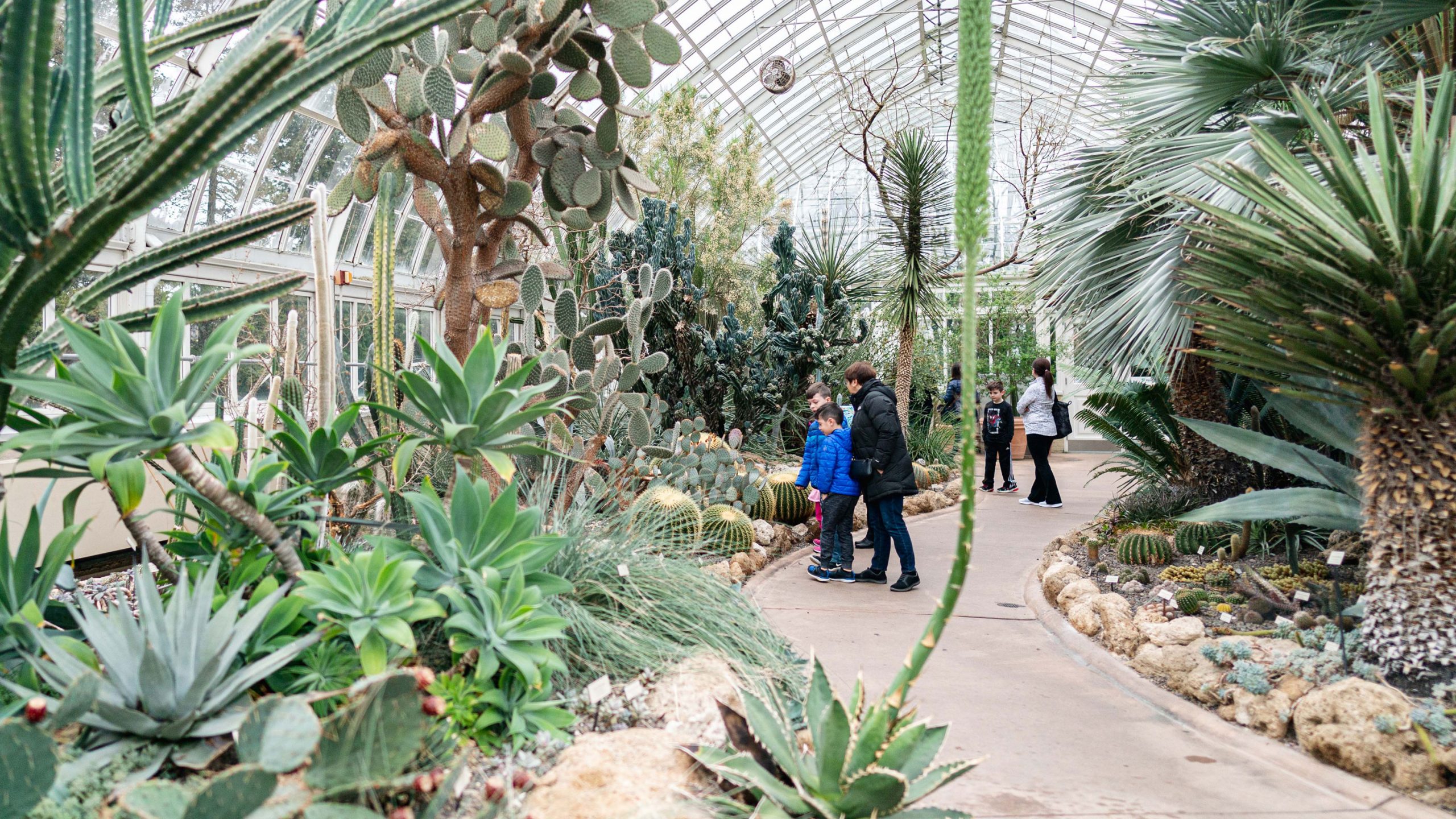 Home » New York Botanical Garden