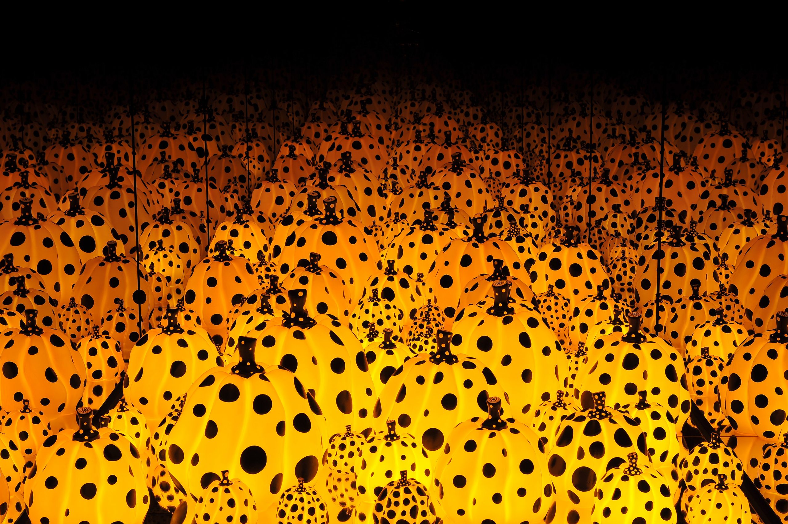 NYBG Press Room » KUSAMA: Cosmic Nature Image Gallery