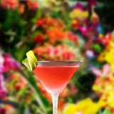 Image of a cocktail