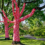 Trees wrapped in red fabric with white polka dots, lining a winding pathway surrounded by greenery.