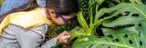 A child examining a plant.