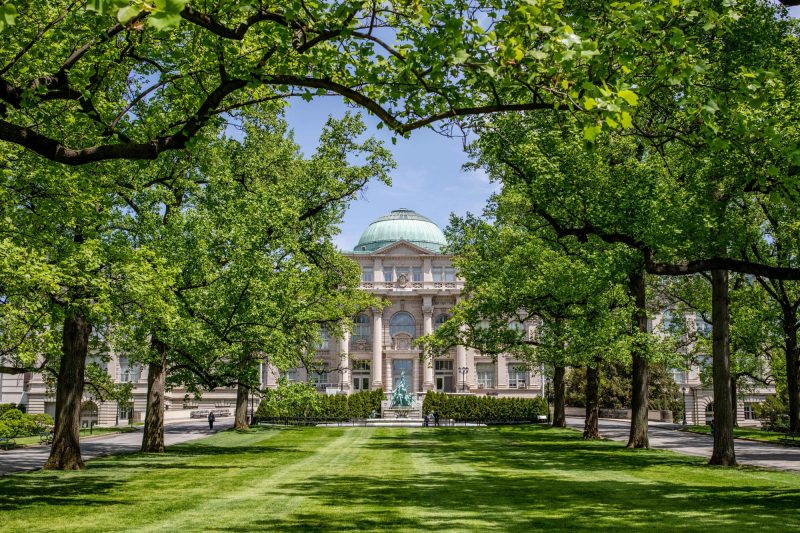 Photo of the NYBG Library Building through rows of tulip trees