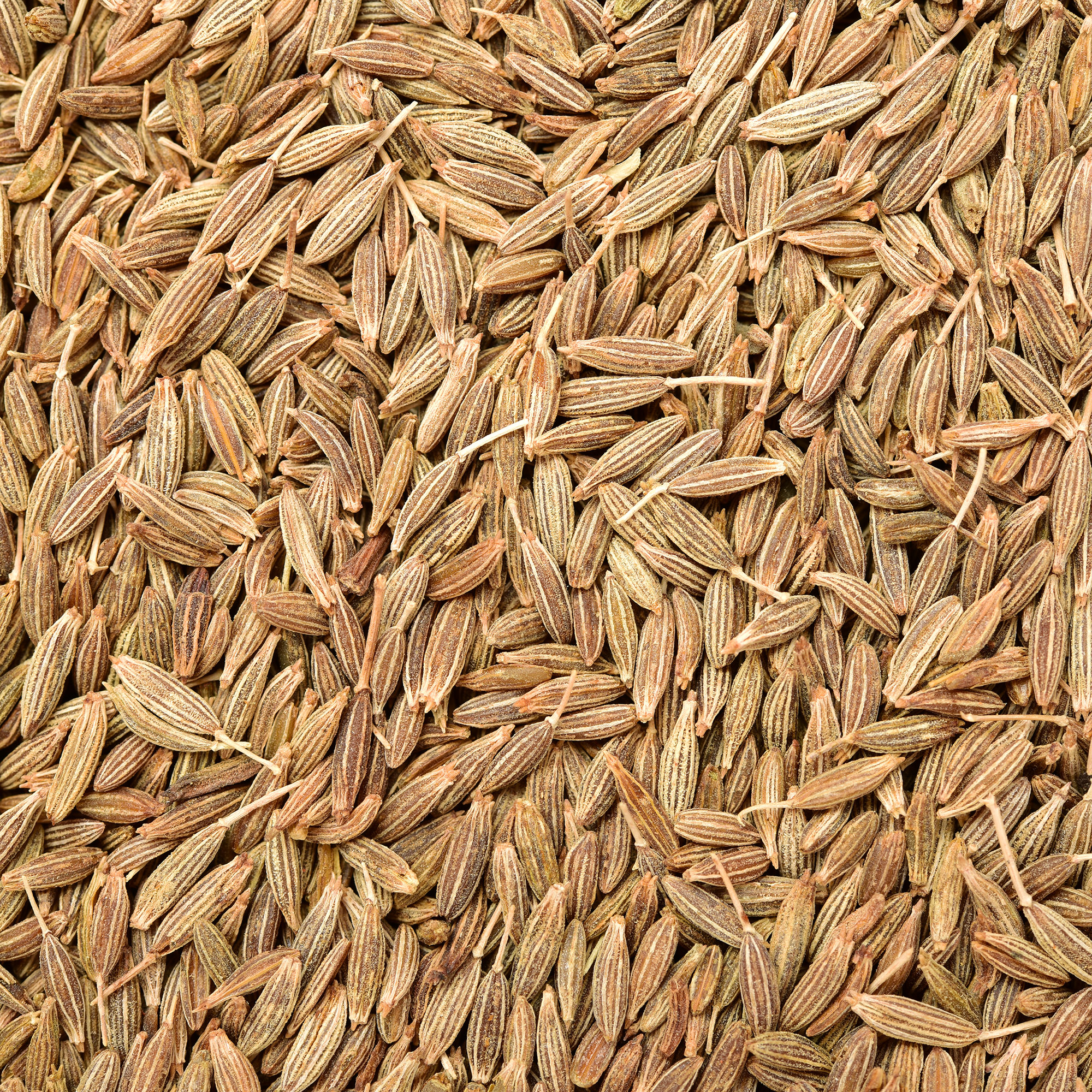 Photo of dry cumin seeds