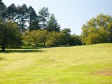 recently mowed field of grass on daffodil hill