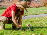 a woman wearing a straw hat and red shirt planting daffodil bulbs