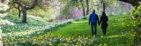 Two people holding hands walking on grass next to a field of yellow and white daffodils