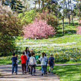 A group of children and their teacher exploring the Garden