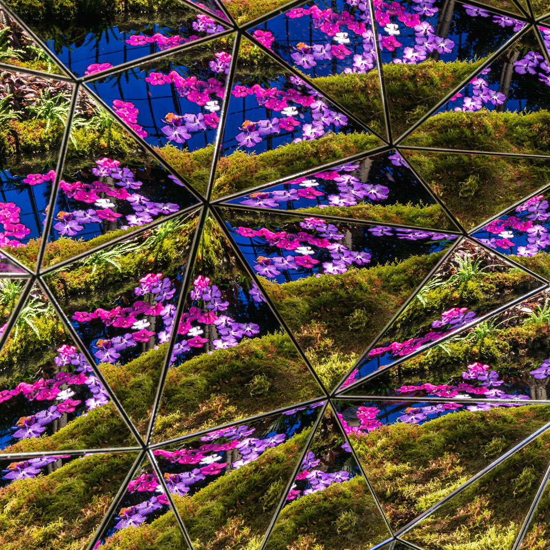 Photo of a kaleidoscope of orchid reflections in Jeff Leatham's sculpture