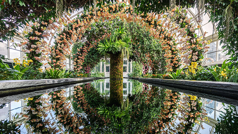 Take A Virtual Tour Of The Orchid Show Jeff Leatham S Kaleidoscope New York Botanical Garden - Botanical Garden Bronx Ny