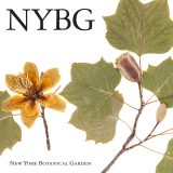 A yellow flower herbarium specimen beside a leafy specimen. The NYBG logo appears in the top left corner, with the words "New York Botanical Garden" appearing below.
