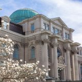 SIde view of the Mertz LIbrary buiding with white magnolia flowers in the lower left corner