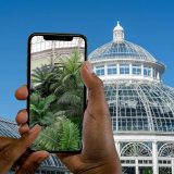 Two hands holding a phone with images of palm frons on the phone, in front of the dome of the Enid A. Haupt Conservatory