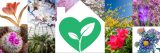A variety of tiled images of spring flowers with a white illustration of a home in the center, housing a green heart with a sprout growing inside