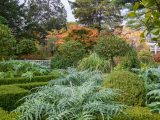 Lush green bushes of various shapes below tall green trees changing to shades of orange and yellow.