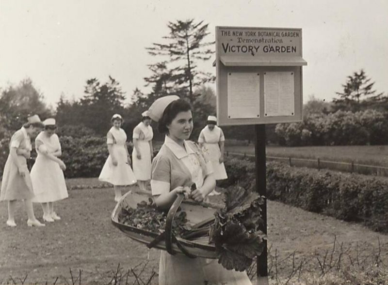 Photo of nurses with produce