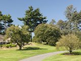 Grey pathway between sections of bright green grass with green trees.