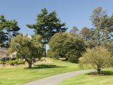 Winding path surrounded by trees and green grass