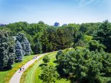 Aerial shot of Daylily Walk with visitors along the path and bright green trees