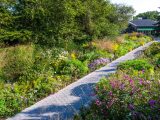 Pathway surrounded by green bushes, small pink, purple and white flowers and green trees towering over bushes.