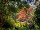 Orange and green trees along the path