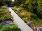 Grey cement path surrounded by green and brown bushes, and small purple flowers with green trees overhead.