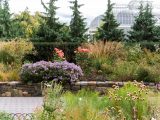 Grey cement pathway surrounded by multicolored bushes, a short stone wall, pink and purple flowers, green trees and a view of the very top of the Haupt Conservatory glasshouses.