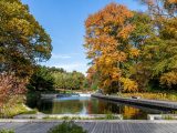 Water feature surrounded by multi-colored trees