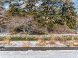 Grey pathway surrounded by green and brown trees with white snow on top of them.