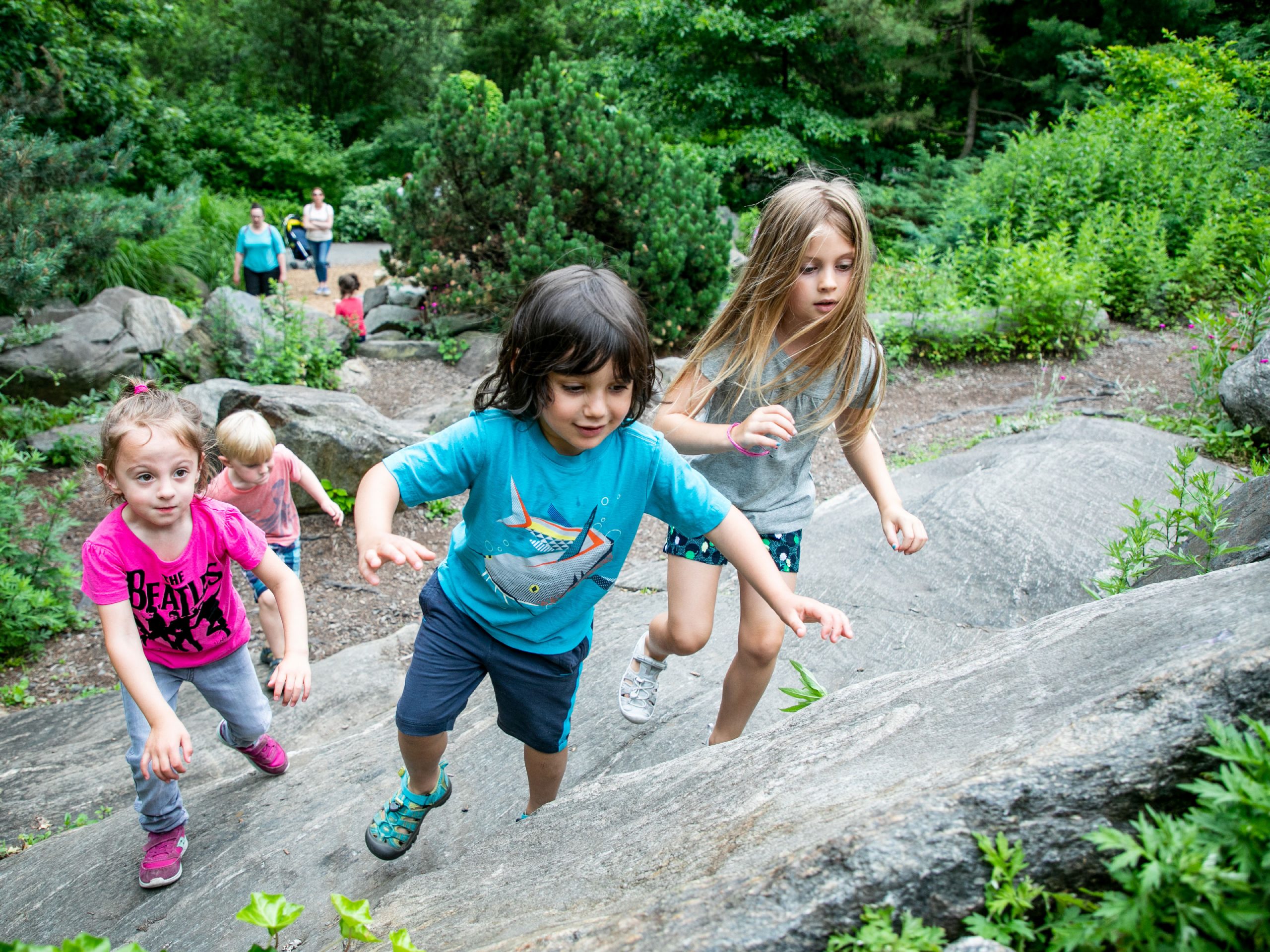 Children's Adventure Garden » New York Botanical Garden