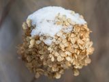 Close up of small, brown flowering plant with white snow on top.