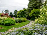 Pink, purple, and blue flowers in the forefront with tall red flowers, trees, and various bushes on the other side of the path